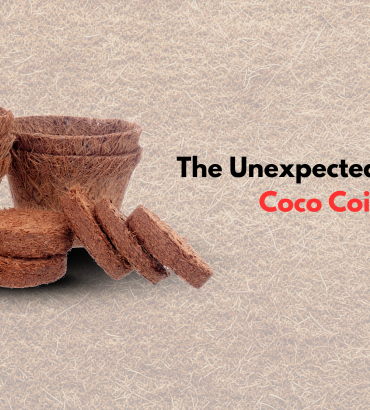 Coco Coir