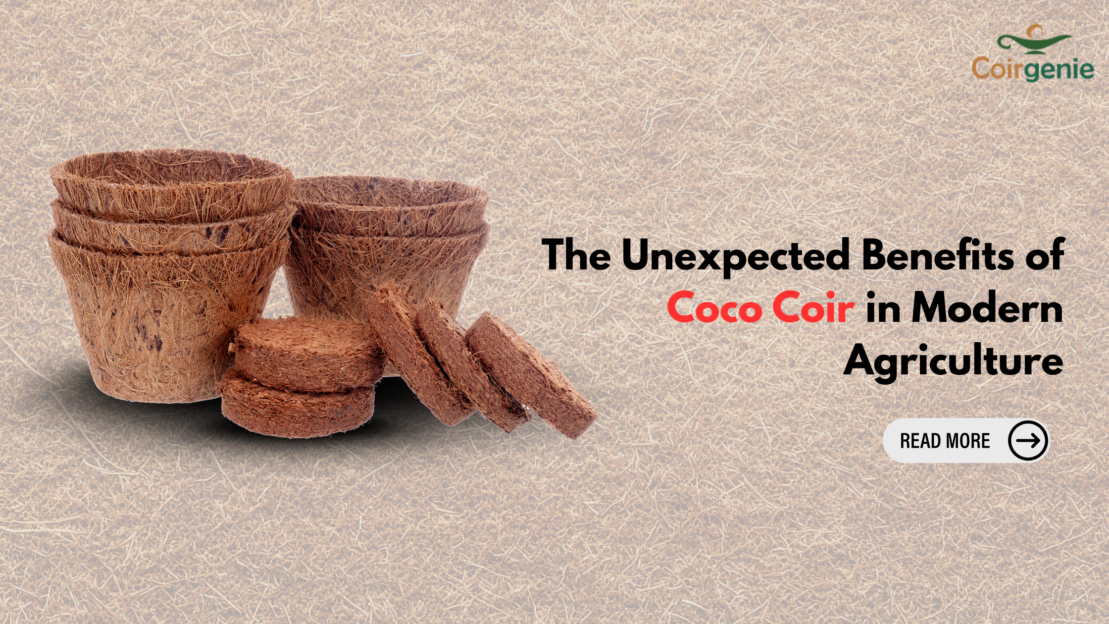 The Unexpected Benefits of Coco Coir in Modern Agriculture