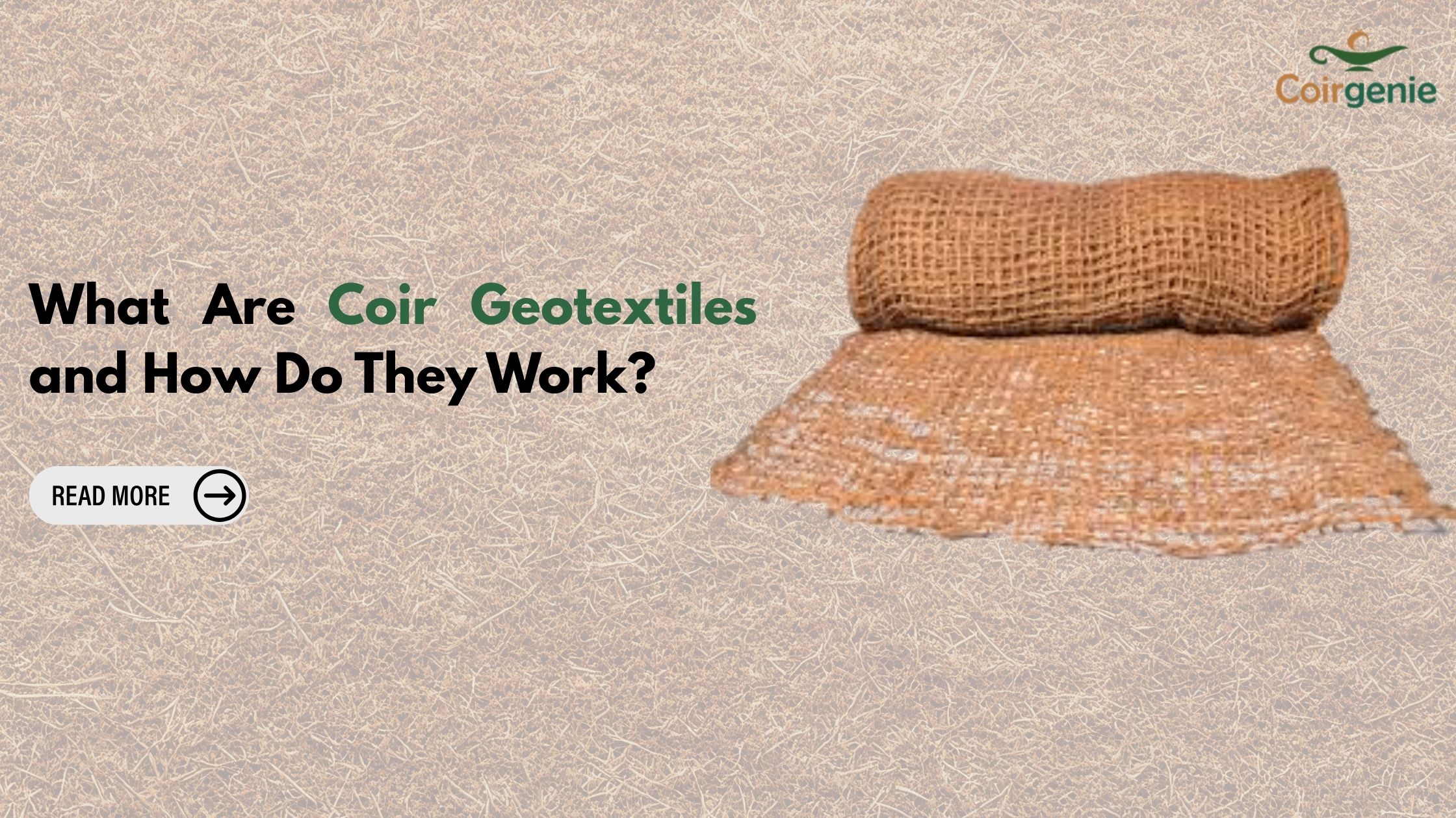 What Are Coir Geotextiles and How Do They Work?