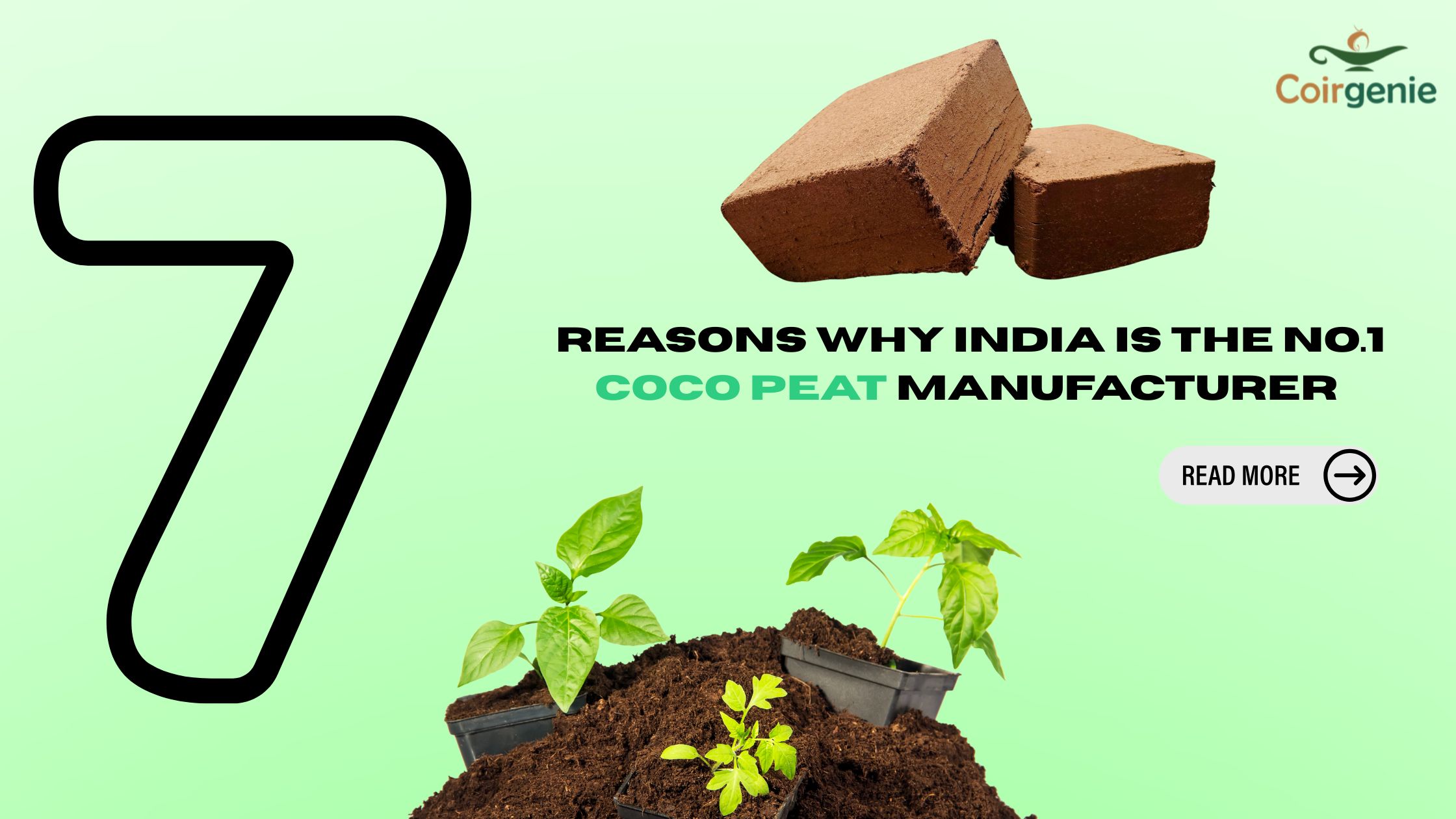 7 Reasons Why India Is the No.1 Coco Peat Manufacturer