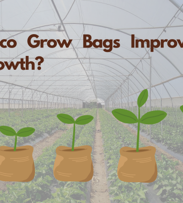 How coco grow bags improve plant growth
