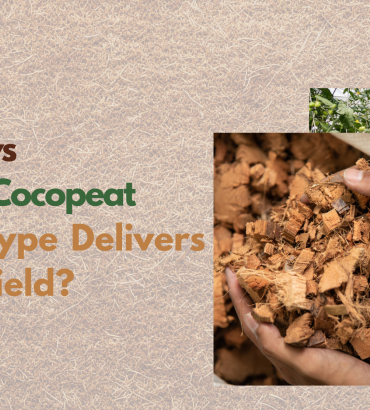 Low EC vs High EC Cocopeat