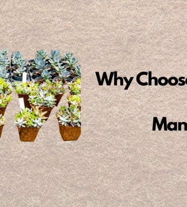 Cocopeat Manufacturer