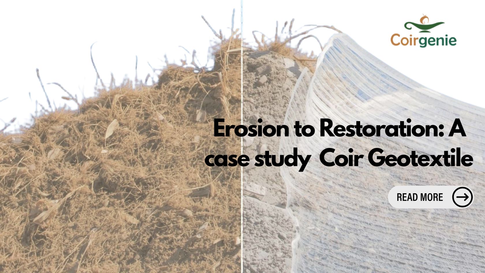 From Erosion to Restoration: A Study on Coir Geotextile Performance