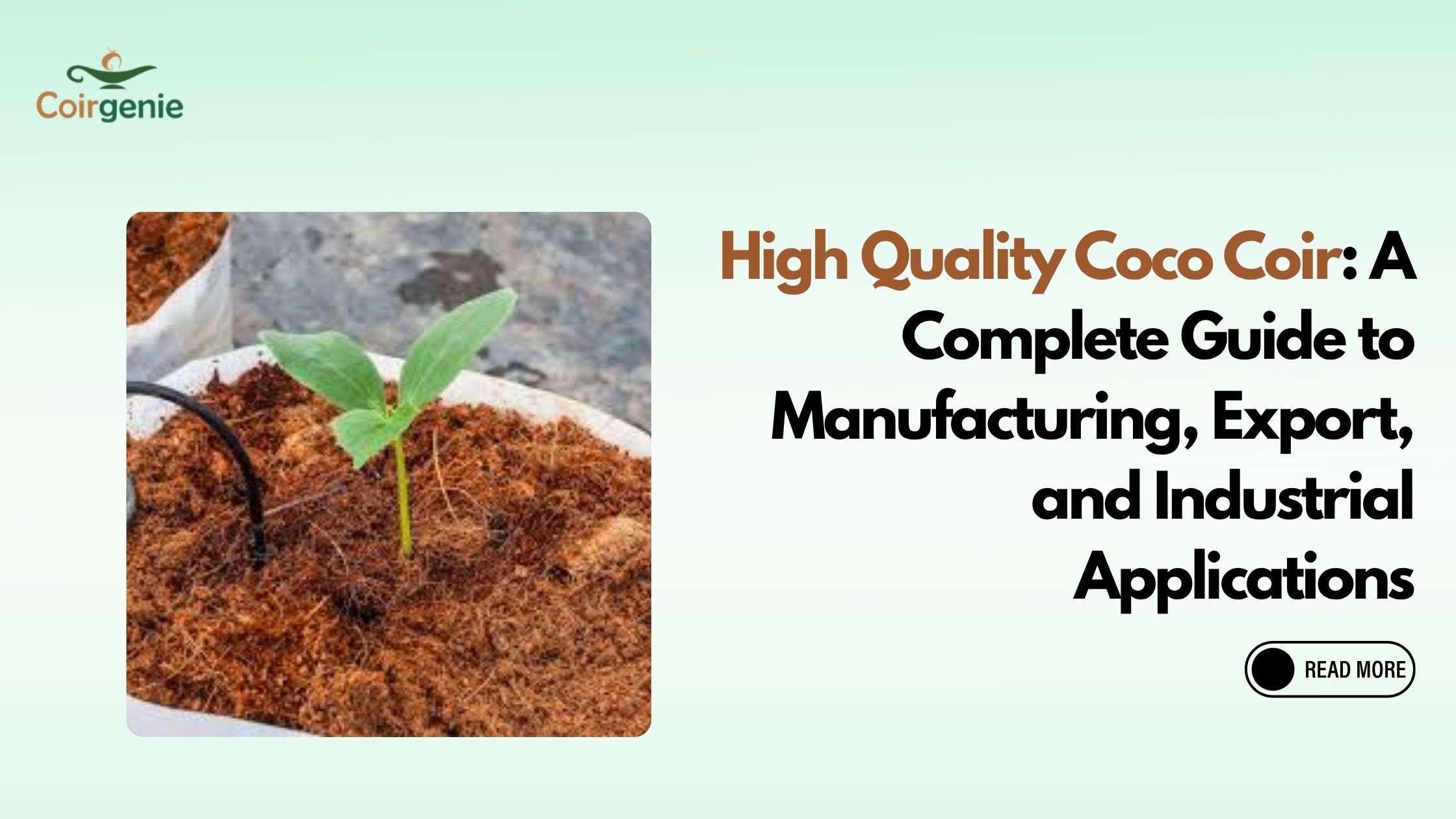 High Quality Coco Coir