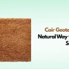 Coir Geotextiles