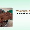 Coco Coir Manufacturing 2026