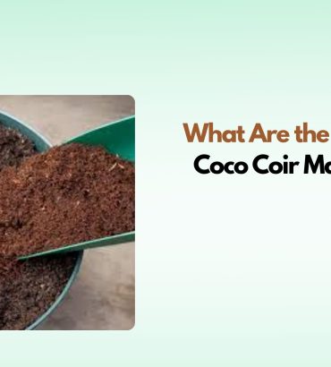 Coco Coir Manufacturing 2026